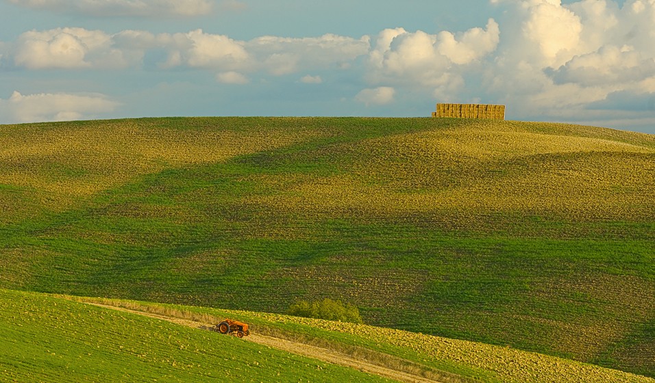 T U S C A N Y  L A N D S C A P E S  # 2