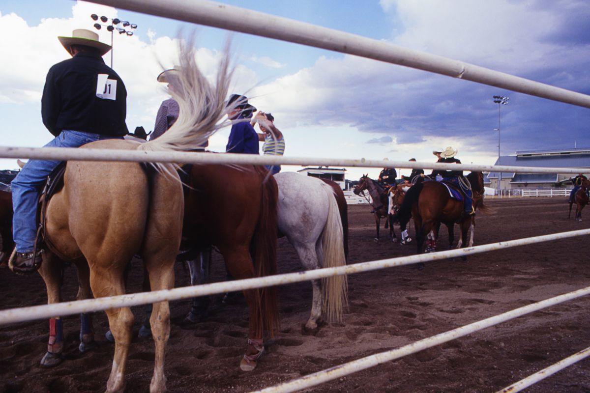 rodeo14.jpg