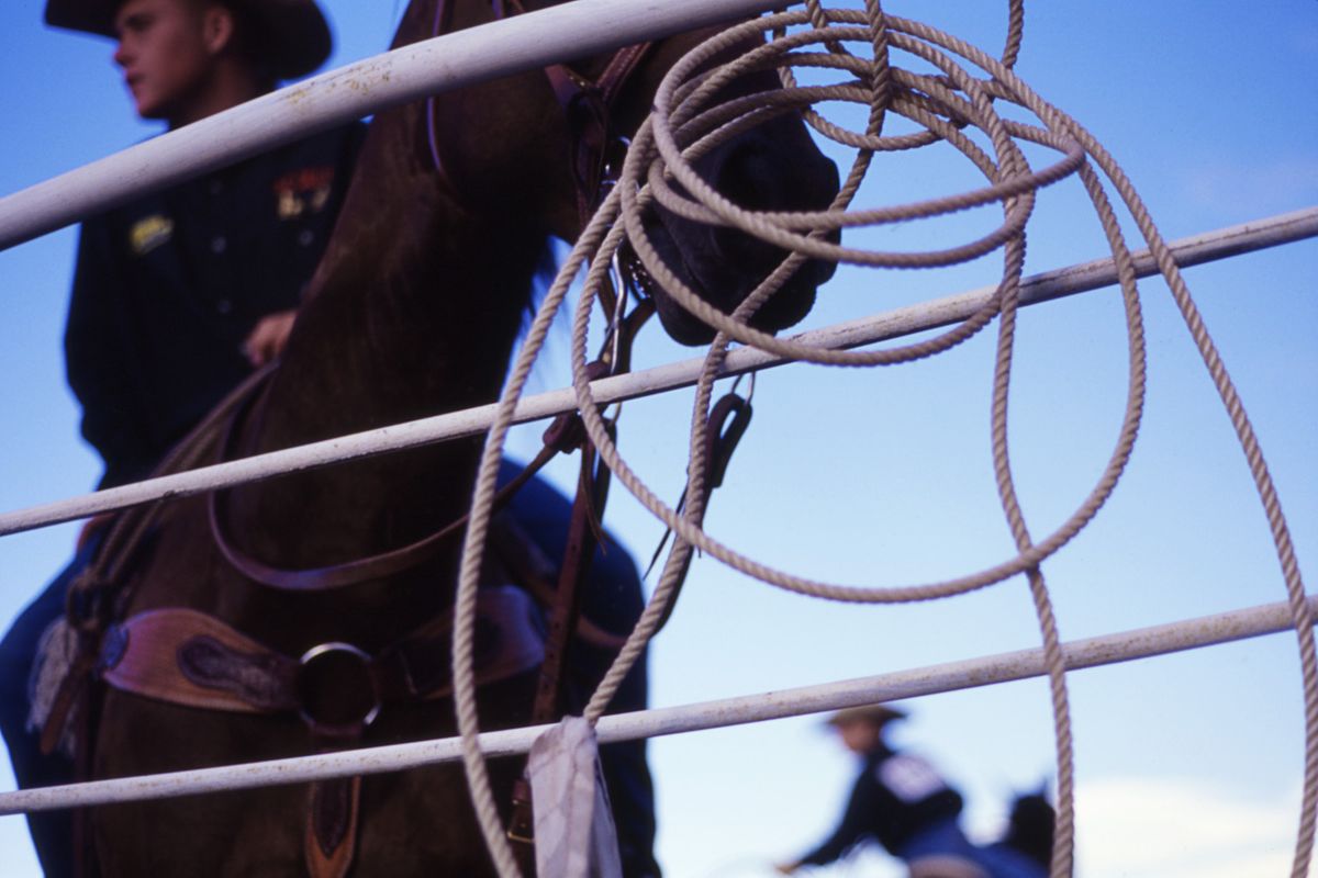 rodeo15.jpg