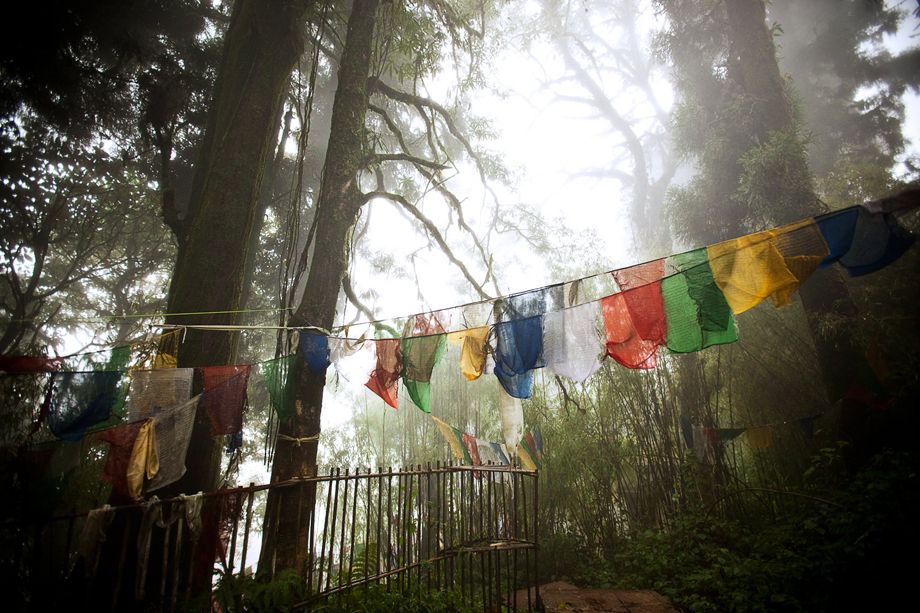 DARJEELING, INDIA