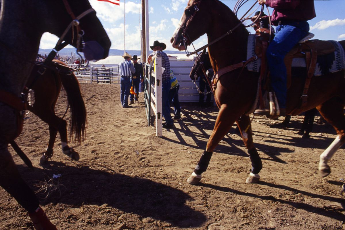 rodeo23.jpg