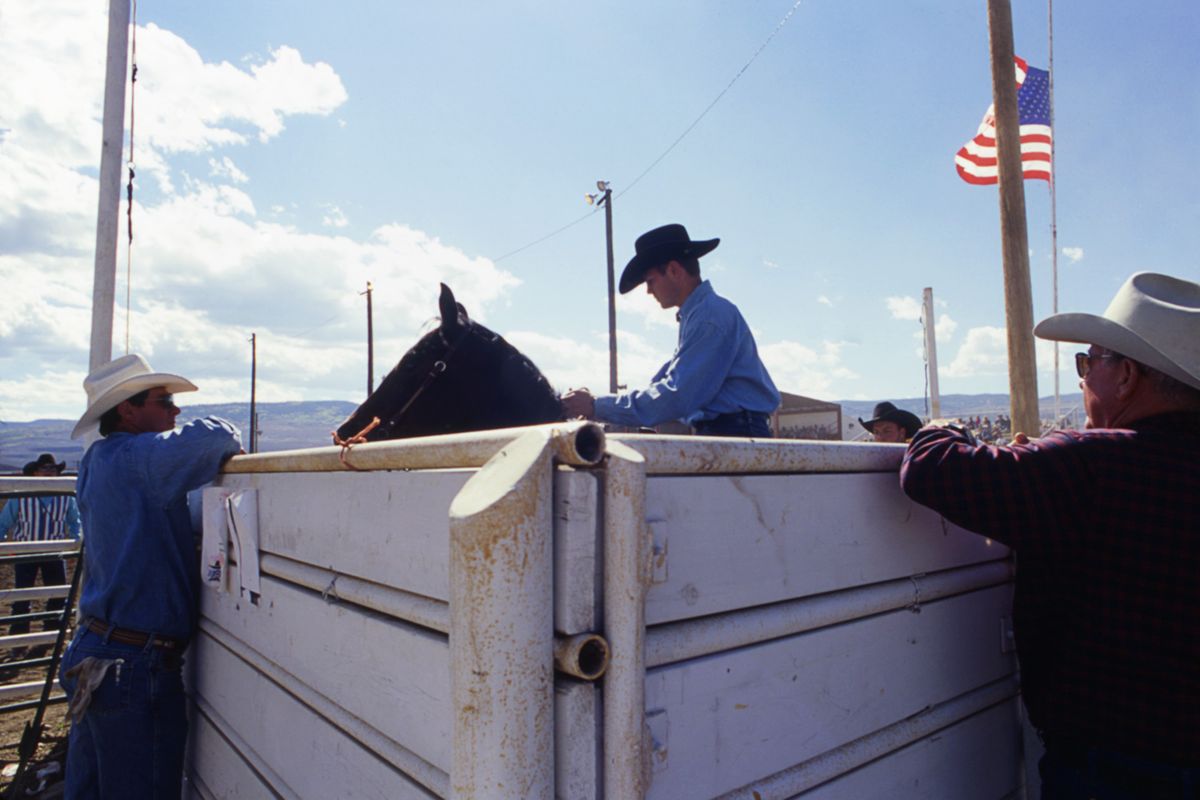 rodeo19.jpg