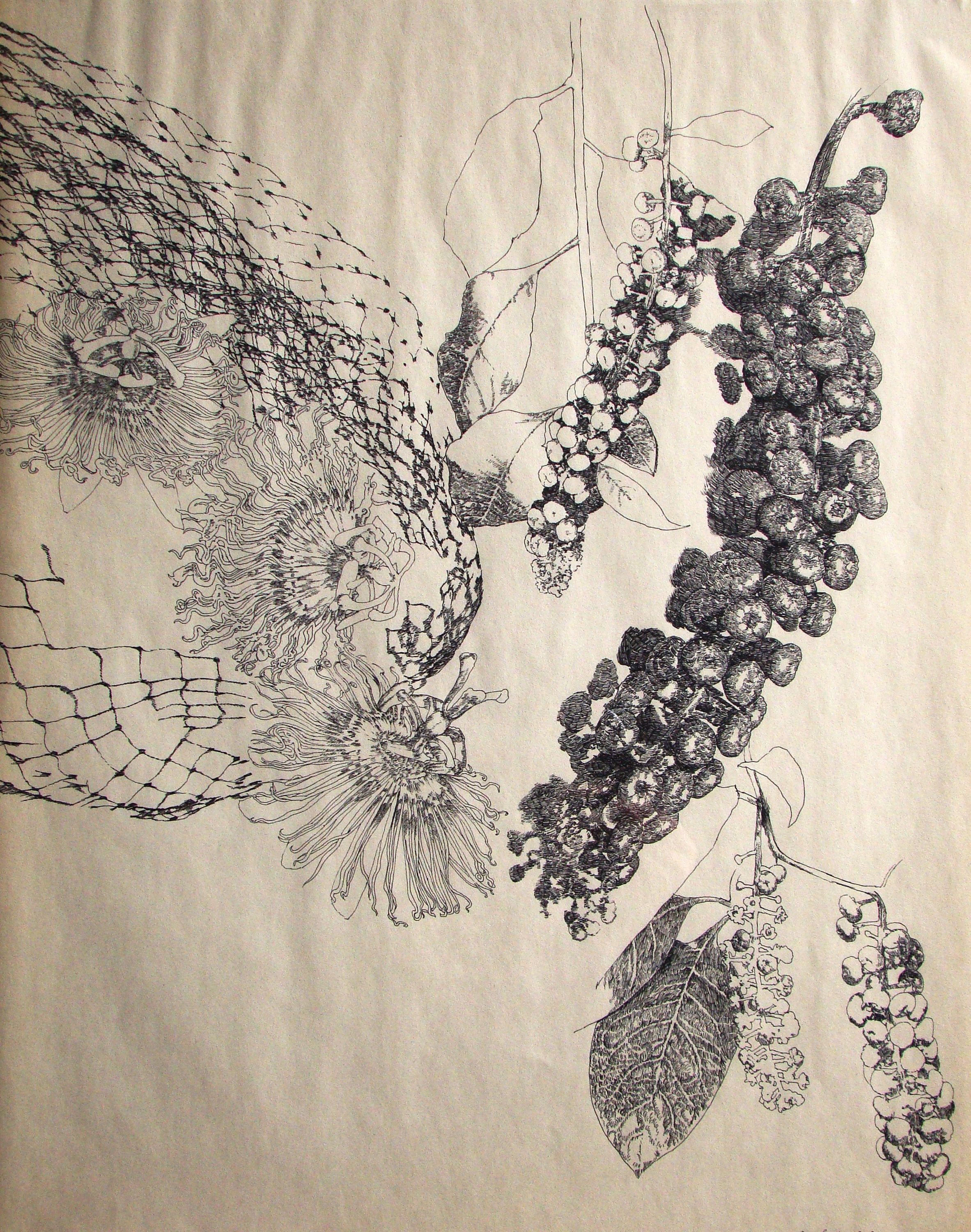 Ink on paper, 22" x 18", 2008 Passionflower Pokeweed