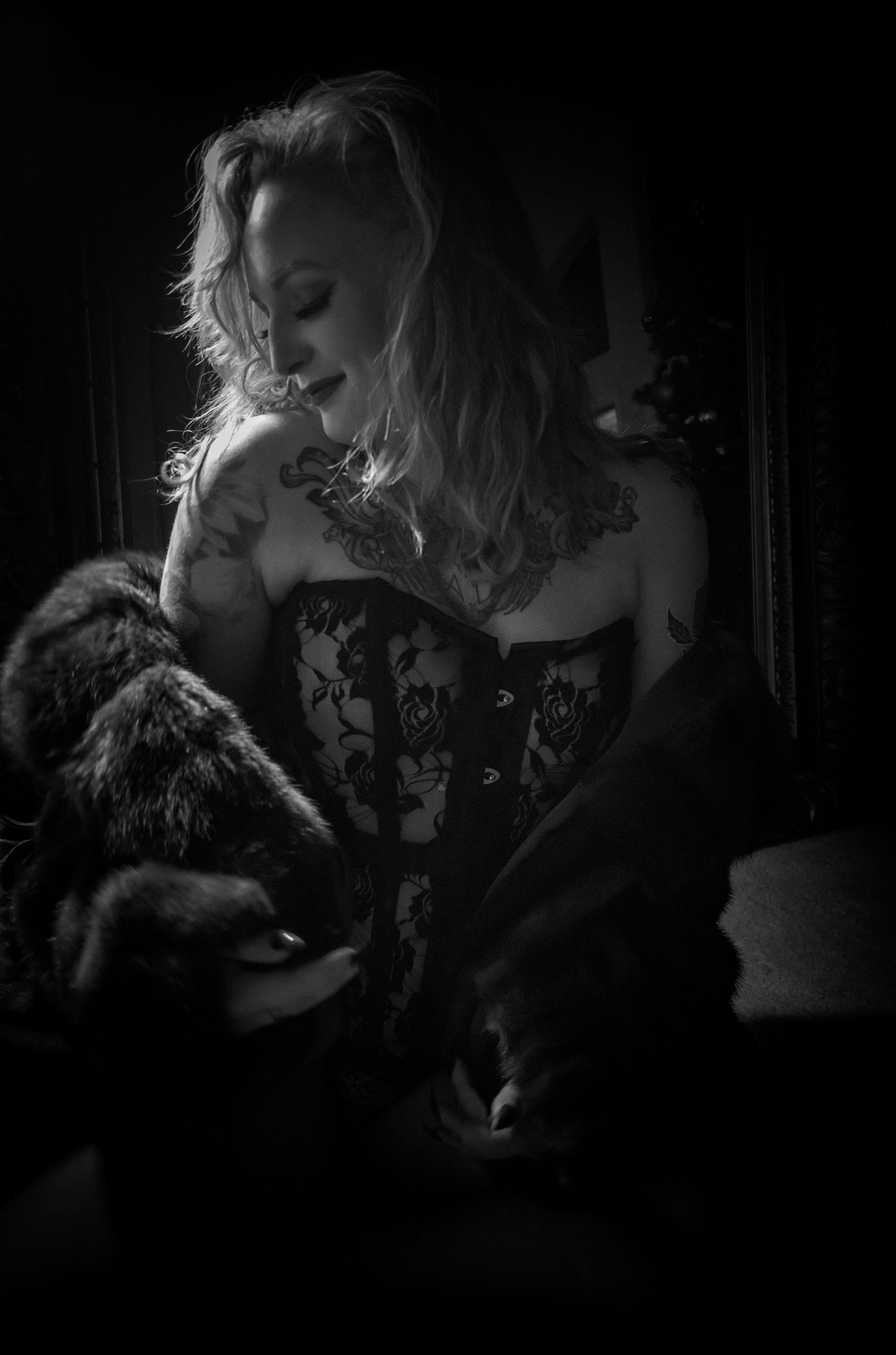 L1001646 VENUS LAS VEGAS 01 5x7.jpg