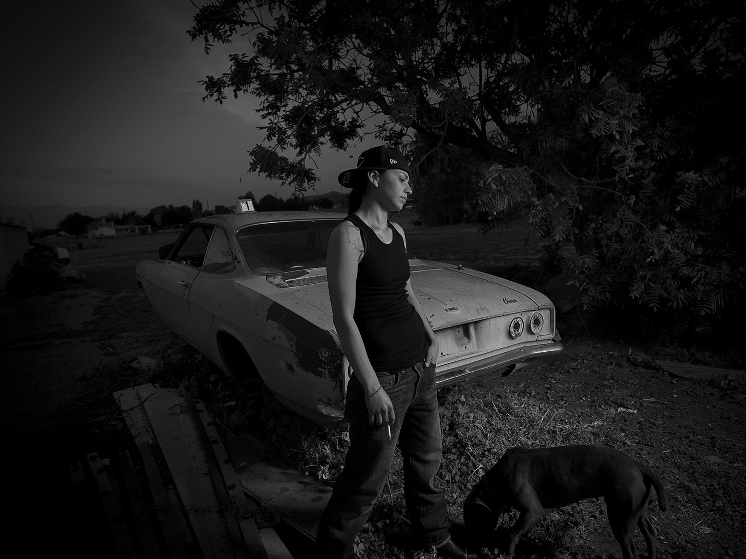 ROSANA CORVAIR 06 REDO 01 IG redo.jpg