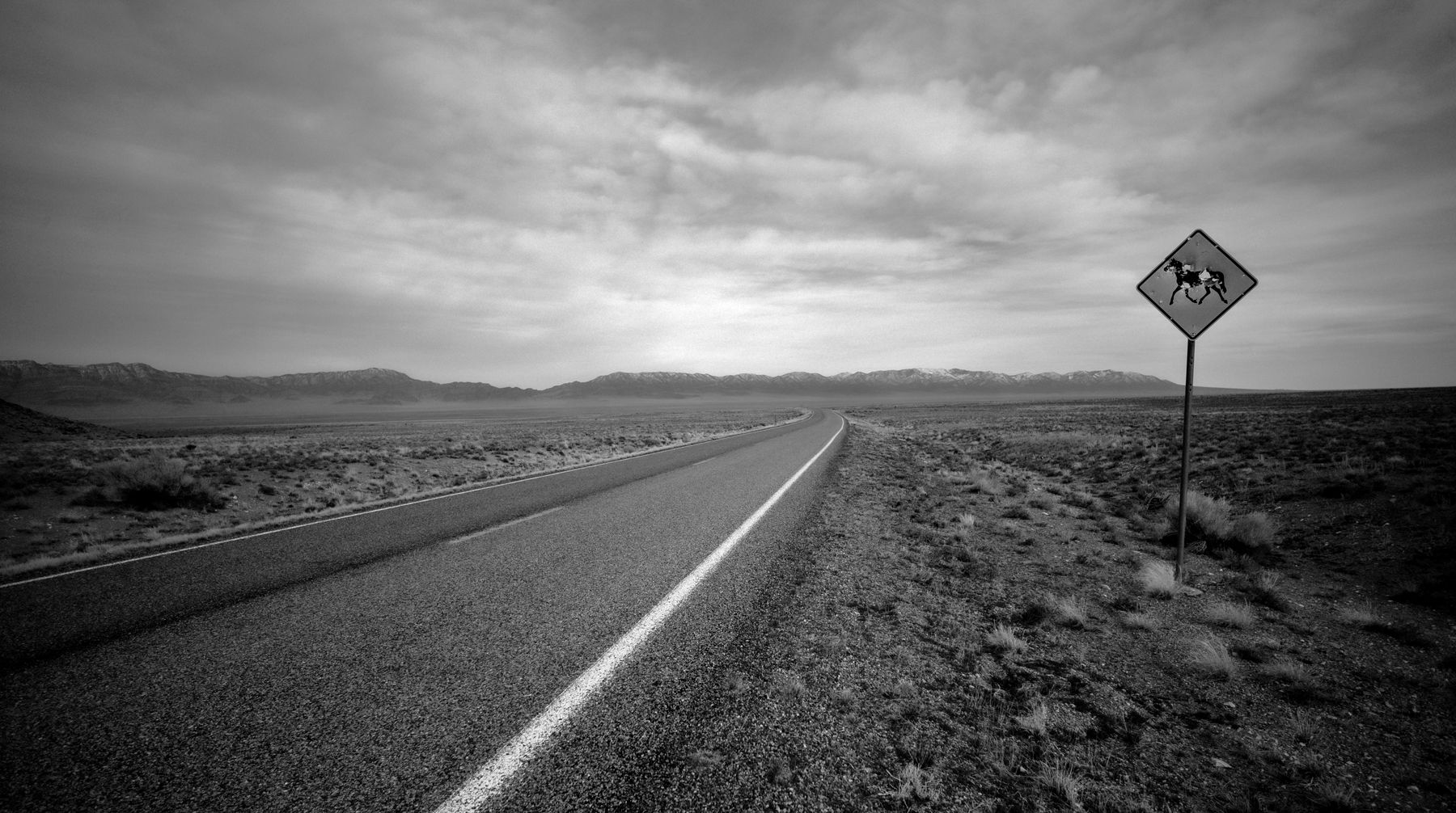 DARKLANDS © Victory Tischler-Blue.jpg