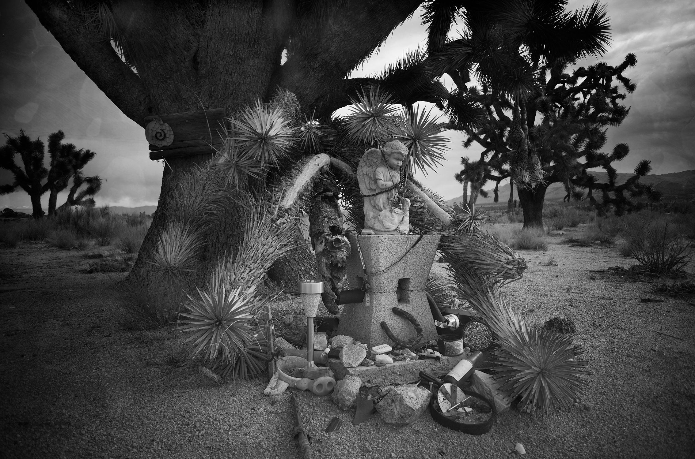 L1003481 MOJAVE ANGEL 01.jpg