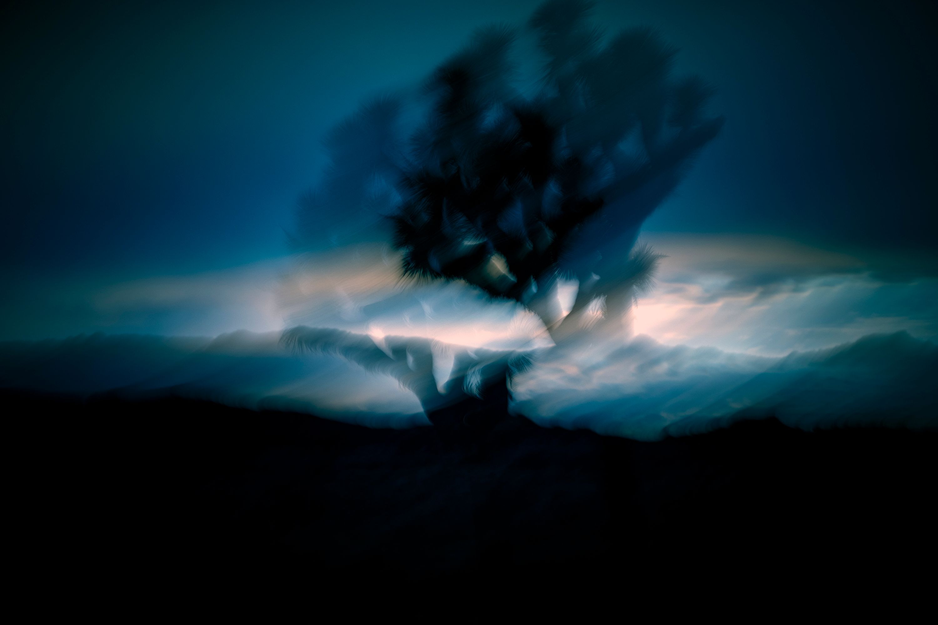 L1040246 JOSHUA TREE BLUR 05.jpg