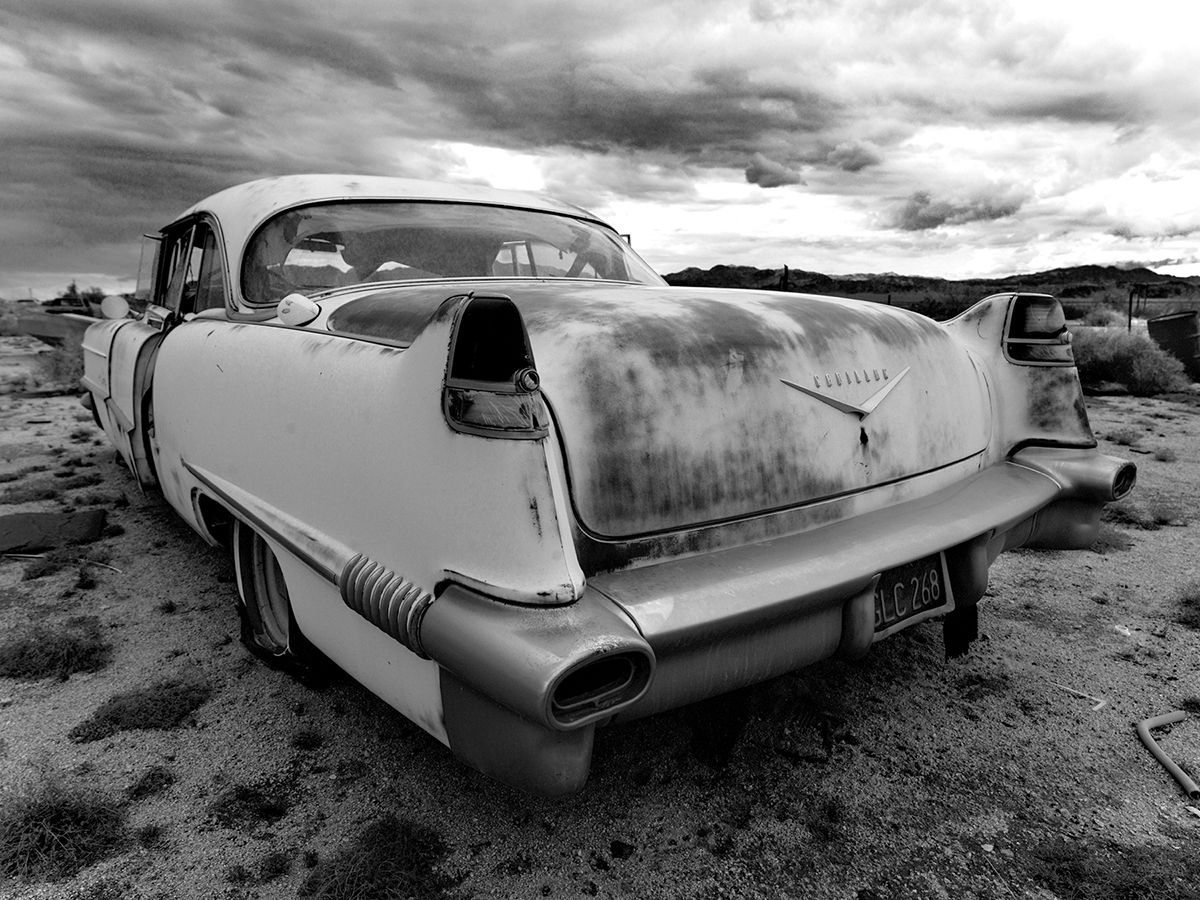 ROADKILL de VILLE.jpg