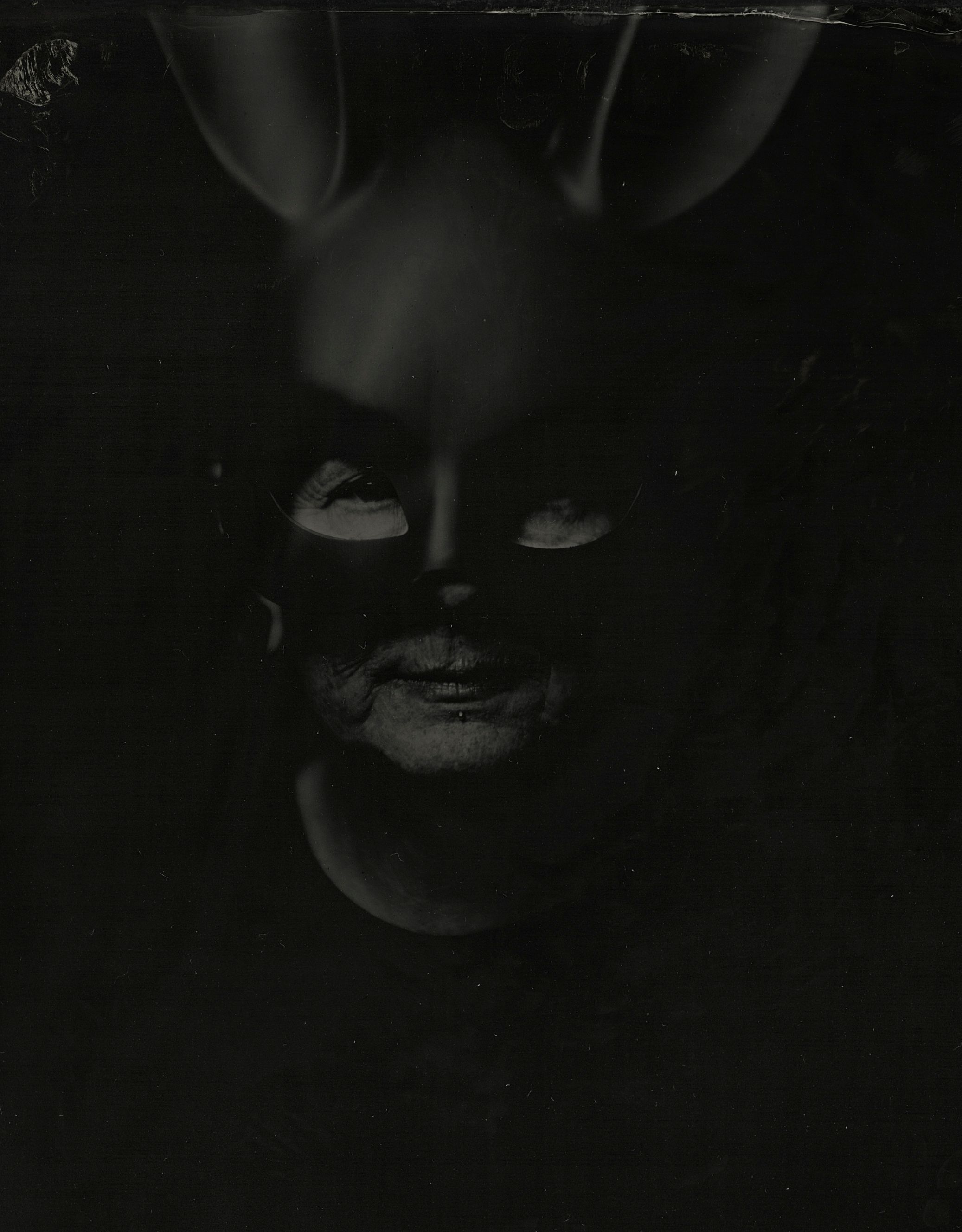 ELLIOTT BUNNY EARS 01 WETPLATE 2023 copy.jpg