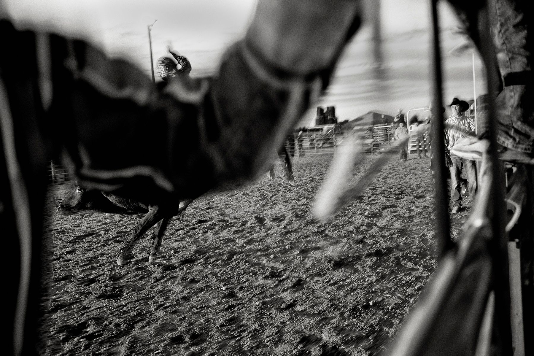LARAMIE RODEO BULL RIDING 01.jpg