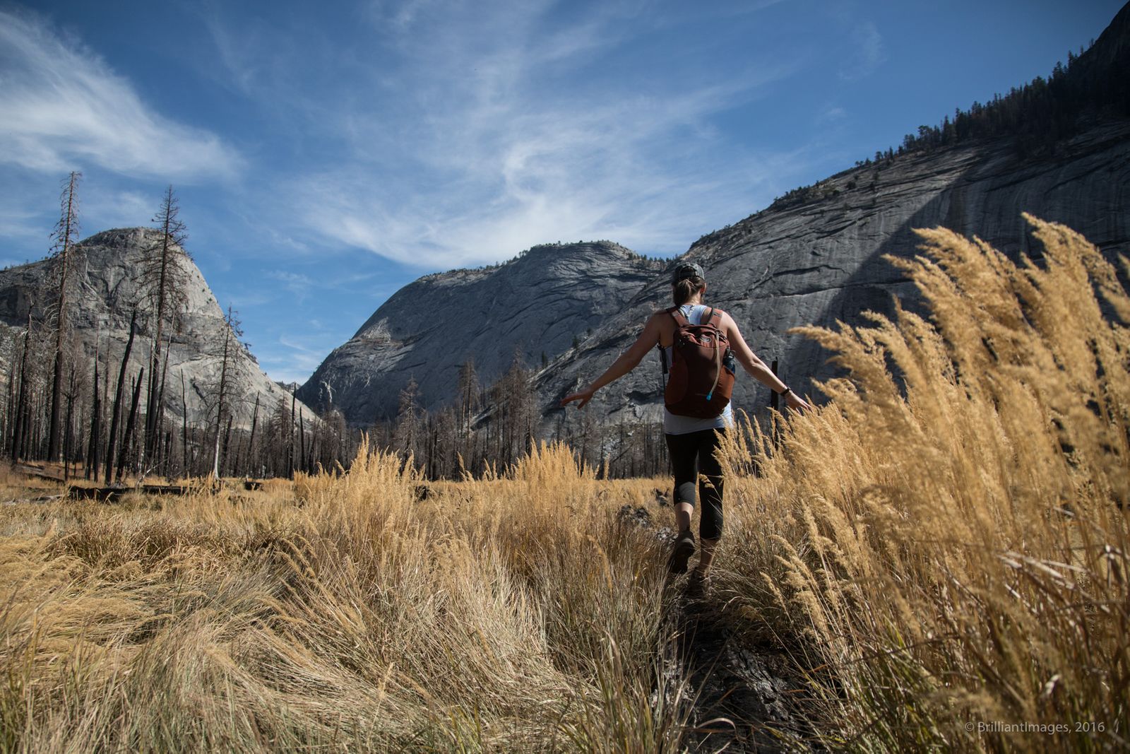 yosemite-4502.jpg