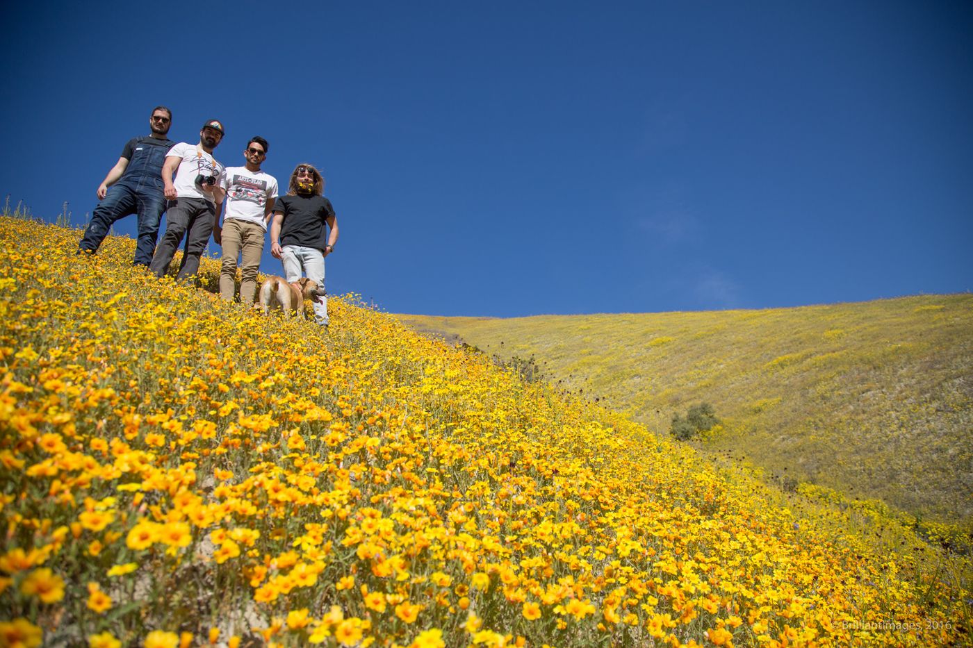 carrizo-plain-7178.jpg