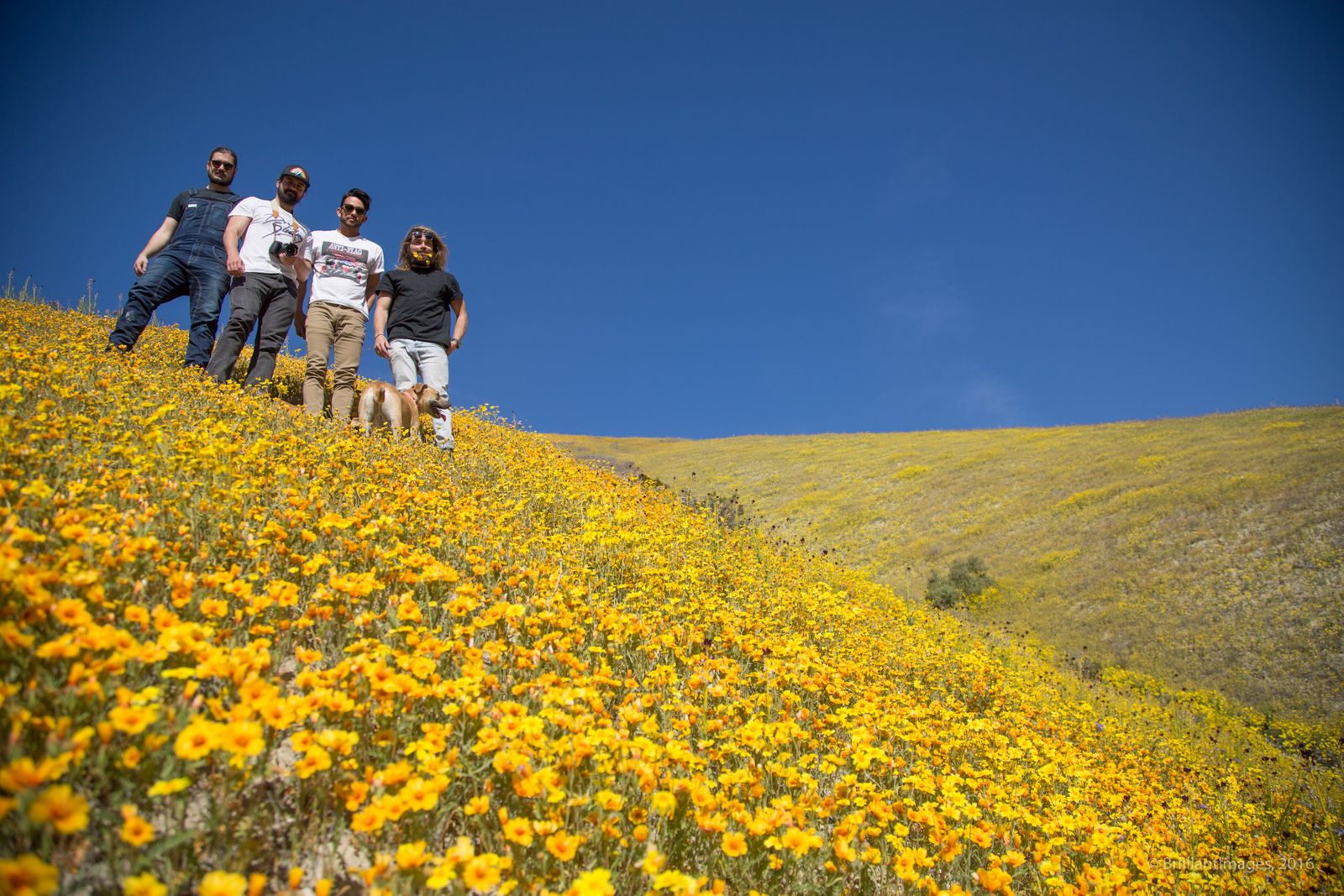 carrizo-plain-7178.jpg