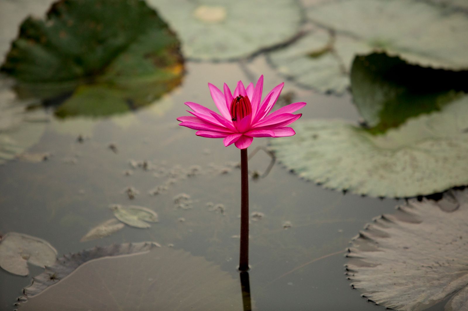 THAILAND-3032.jpg