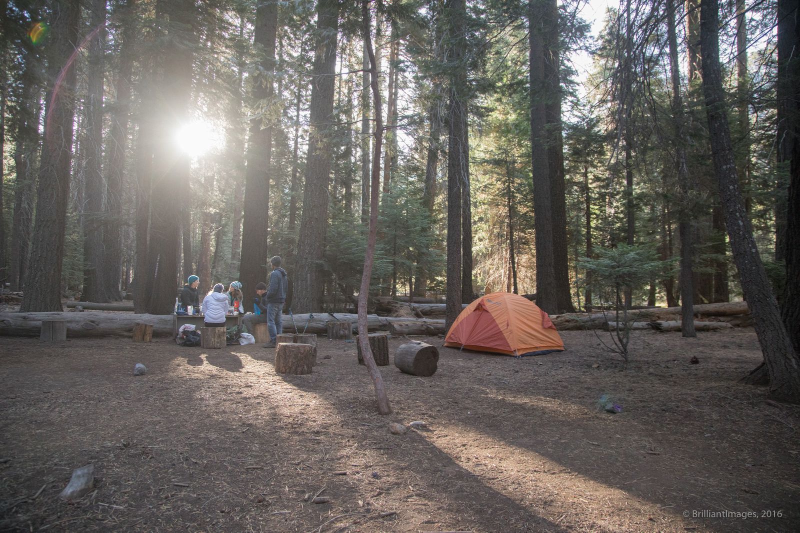yosemite-4343.jpg
