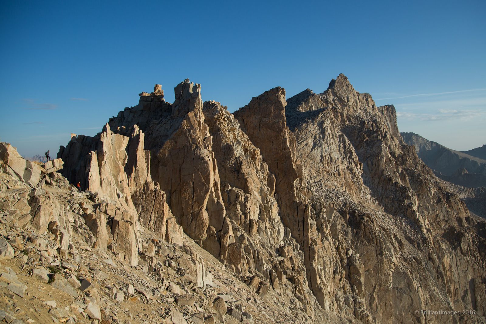 whitney-1746.jpg
