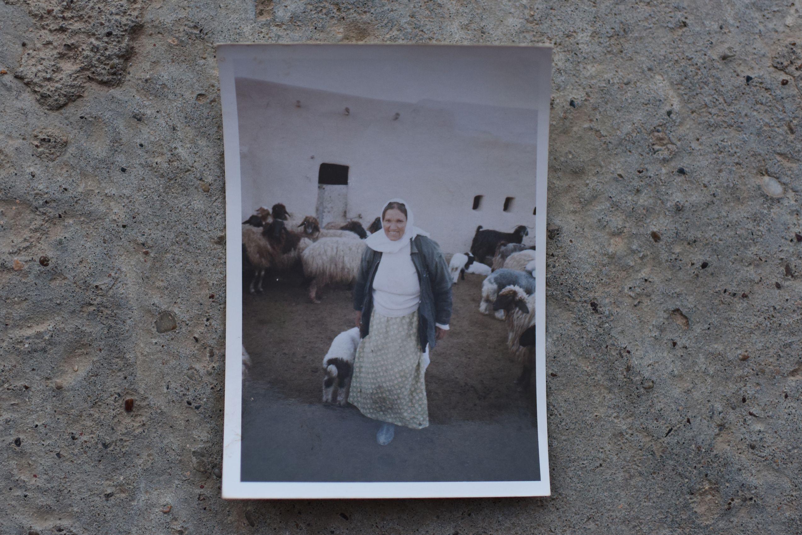 Noriko HAYASHI_シンポジウム_22A.JPG