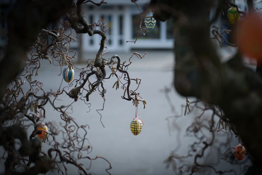 Coloured eggs hang from a tree in a Germany town where Sarah has moved after being released from Islamic State (IS) captivity in Iraq.