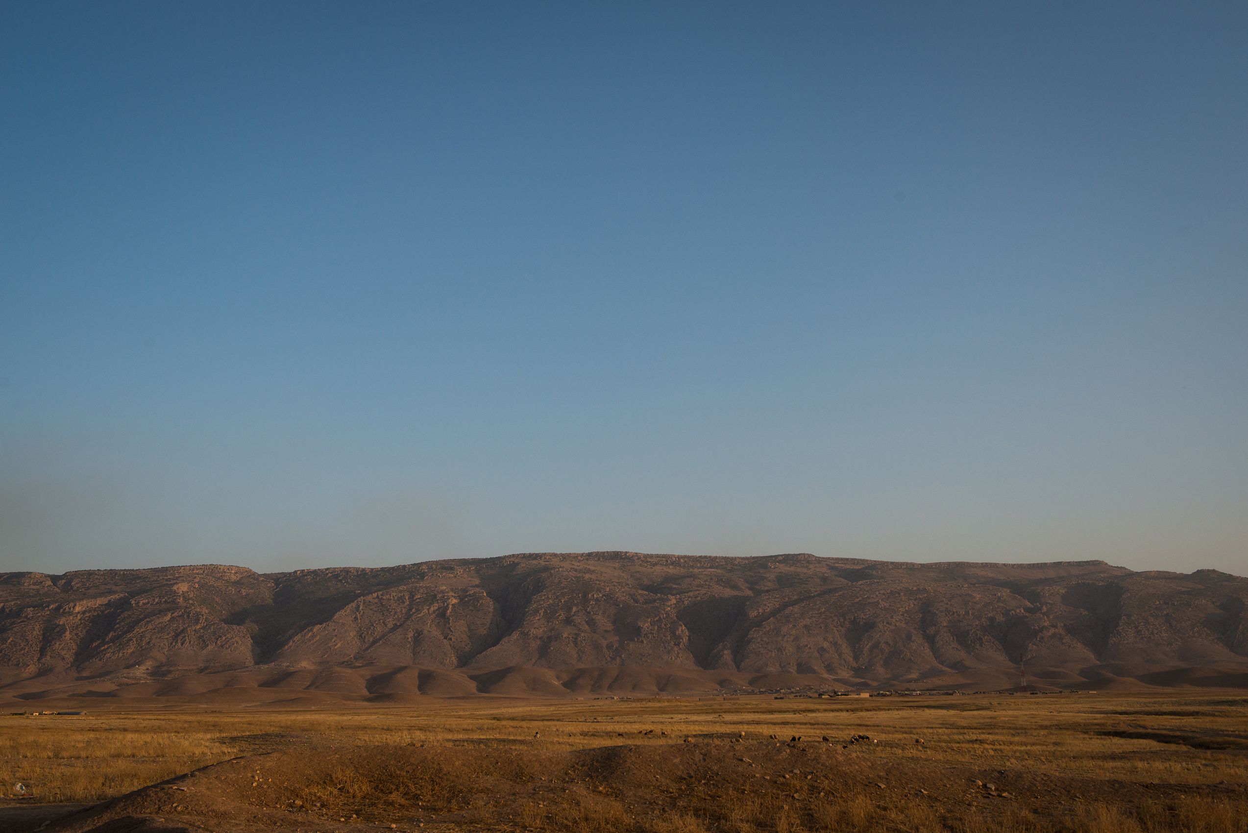 Noriko HAYASHI_シンポジウム_60.JPG