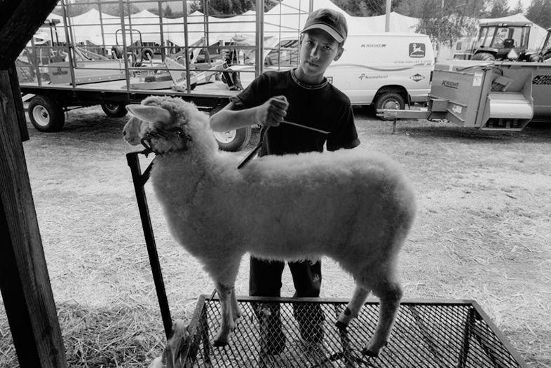 Delaware County Fair