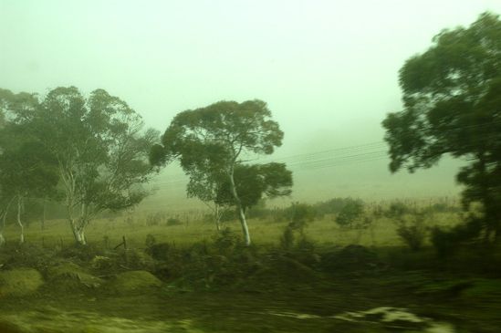 1NIKON_CORPORATION___NIKON_D70___2006_06_19_09_46_48