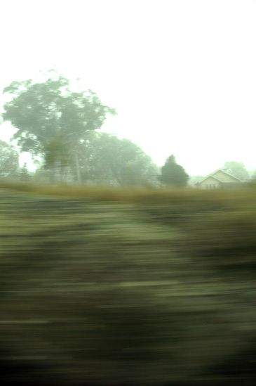 1NIKON_CORPORATION___NIKON_D70___2006_06_19_09_58_27