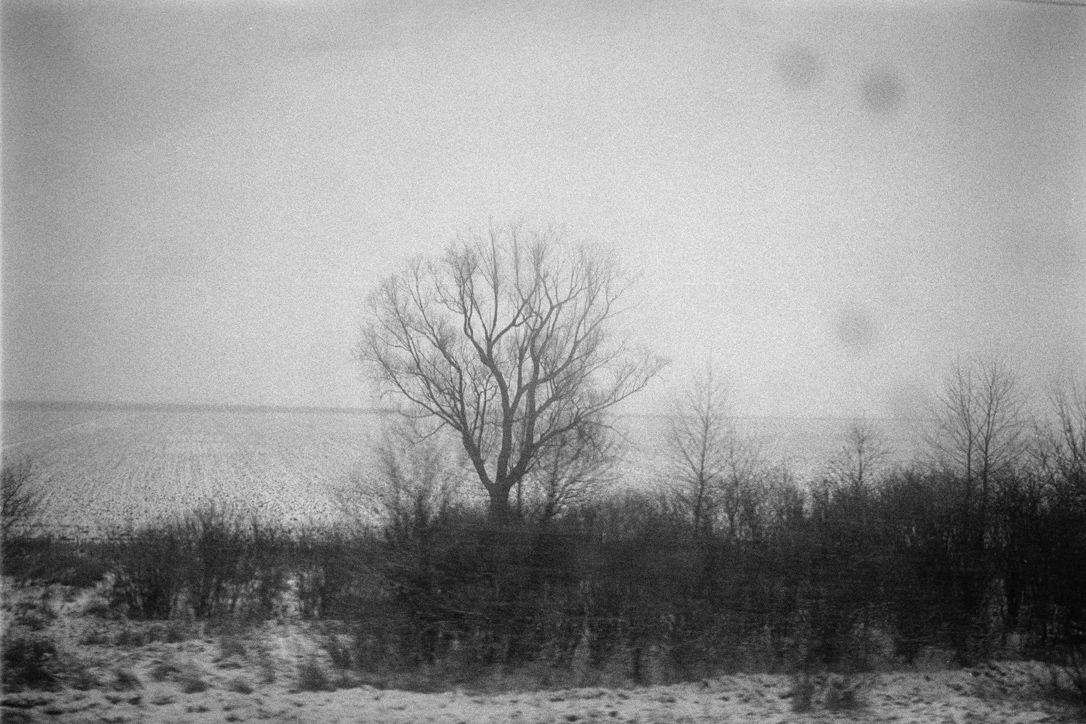 AMP_2005_Ukraine_2025-03-27-0060-1.jpg