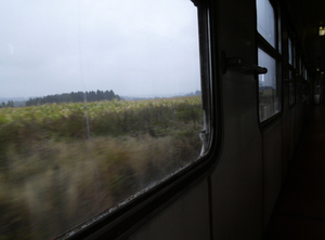 Screen Shot 2017-10-22 at 7.29.03 PM.png