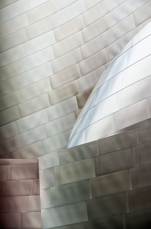 Walt Disney Concert Hall Detail 4 - Los Angeles CA.jpg