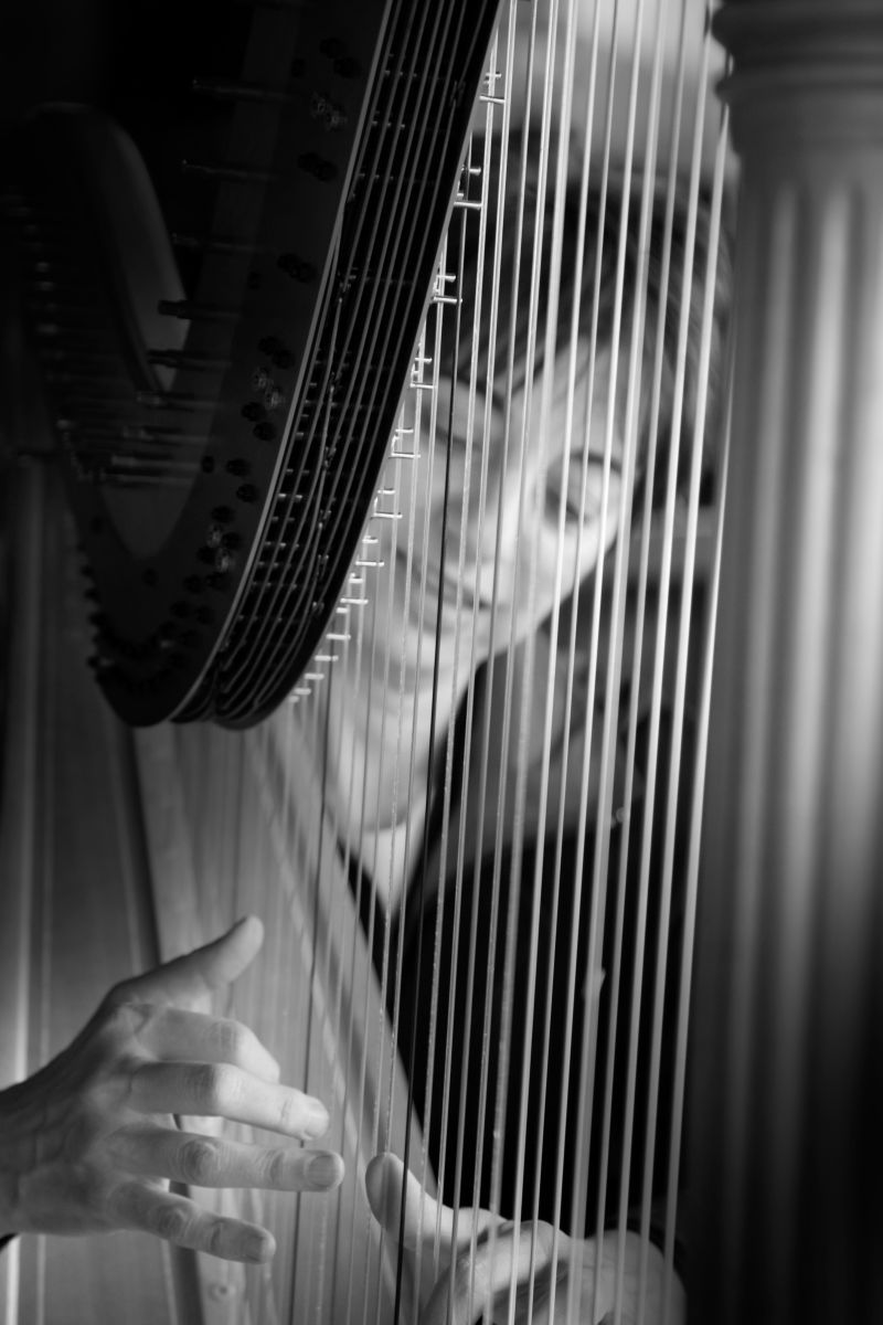 Donna playing her Harp