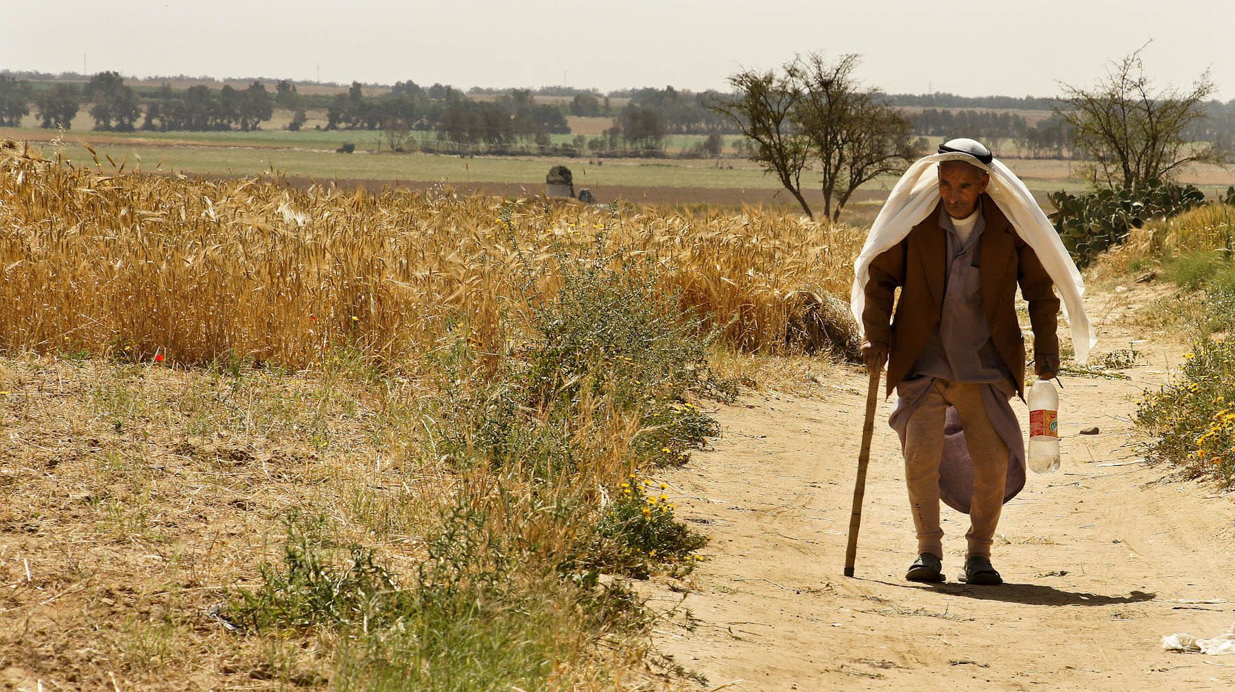 1dsc04874_edit_edit_2