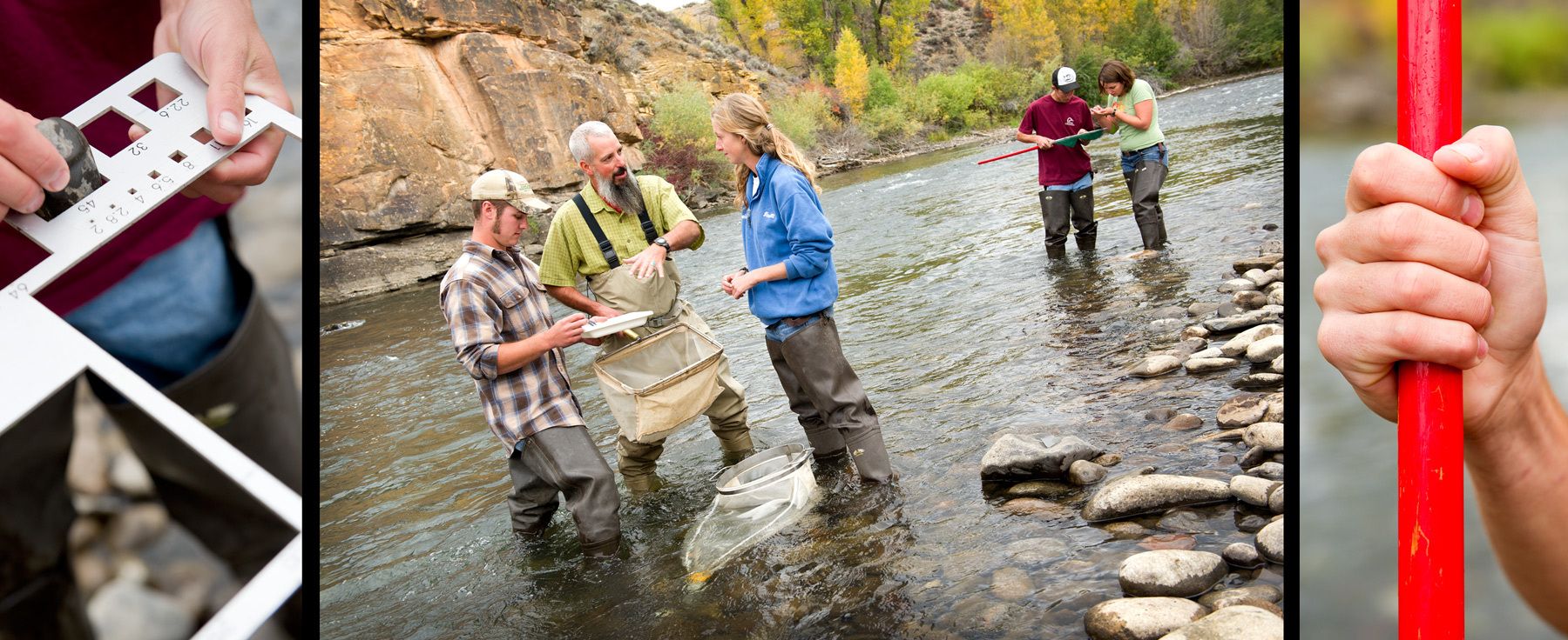 1western_0824_0781_0811