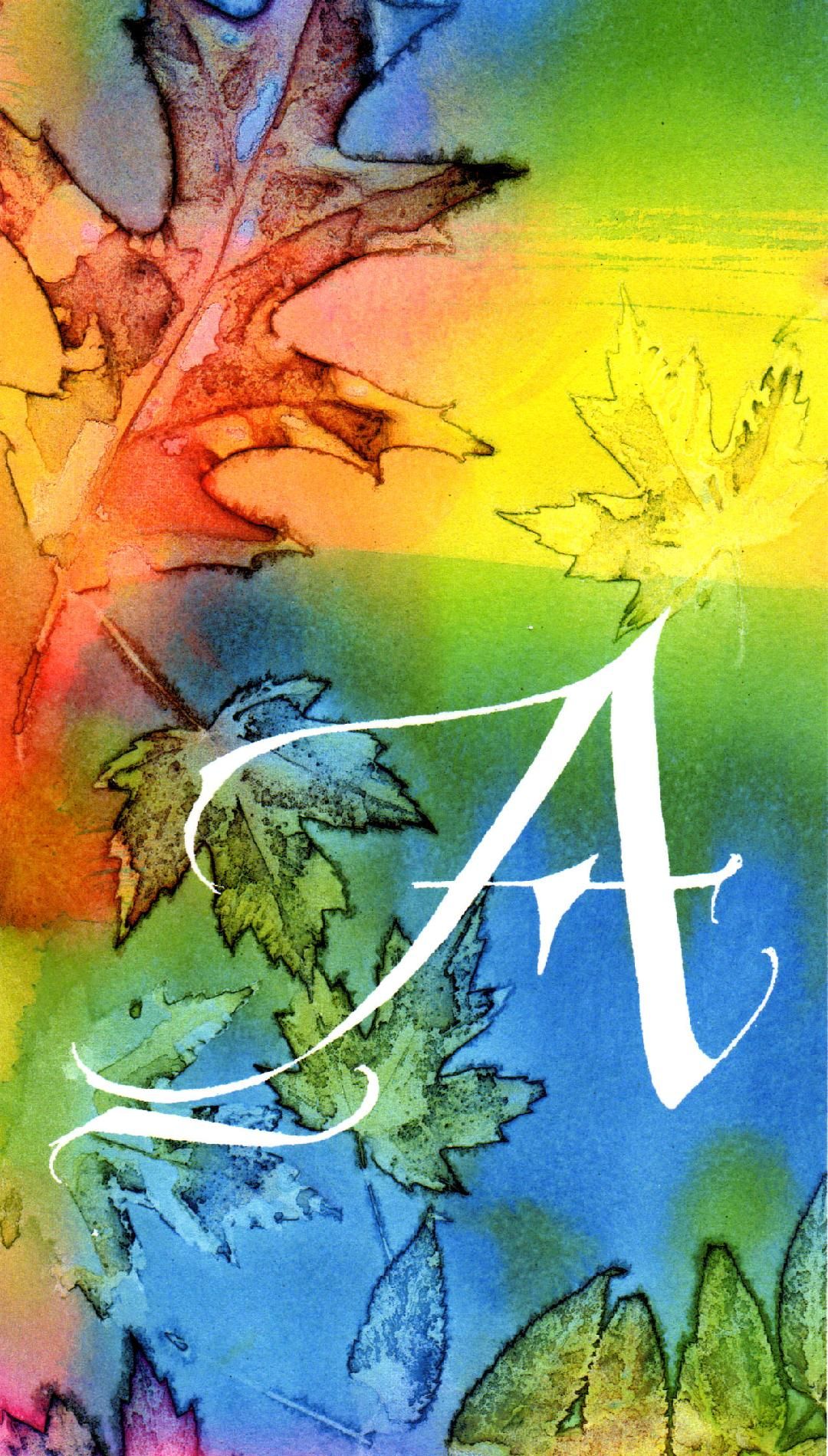 ann's logo.jpg