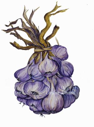 Garlic-edit-web.jpg