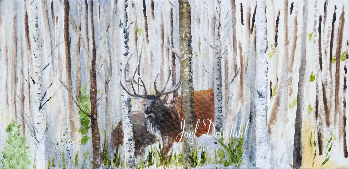 Elk-in-the-Birch-edit-web.jpg