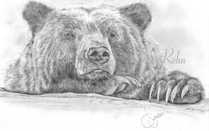 bear-8.jpg-web.jpg