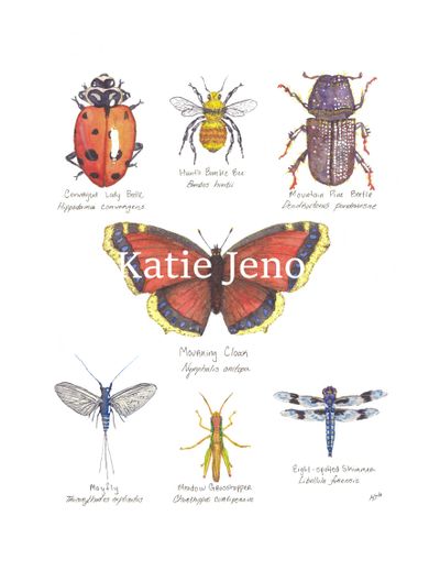 Katie-Jeno-backround-removed-14x18-final-october-2024.jpg