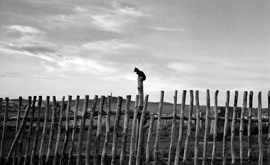 1hannahrose_the_last_nomad_5