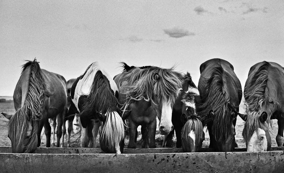 1hannahrose_the_last_nomad_4