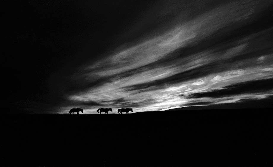 1hannahrose_the_last_nomad_20