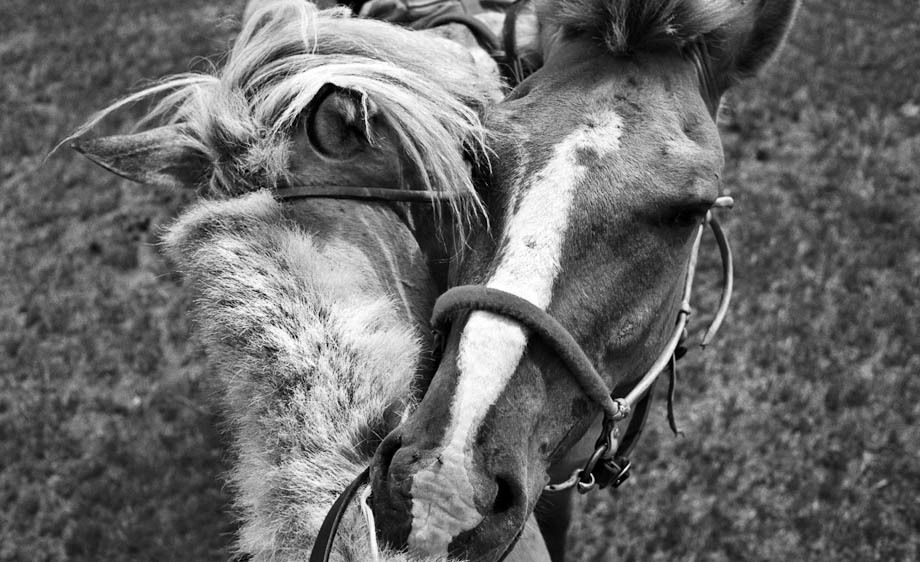 1hannahrose_the_last_nomad_33