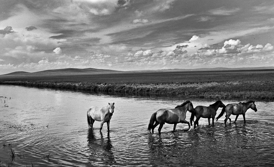 1hannahrose_the_last_nomad_28