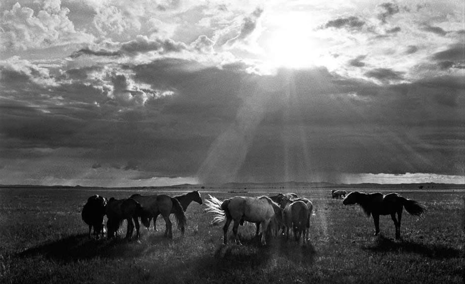 1hannahrose_the_last_nomad_9