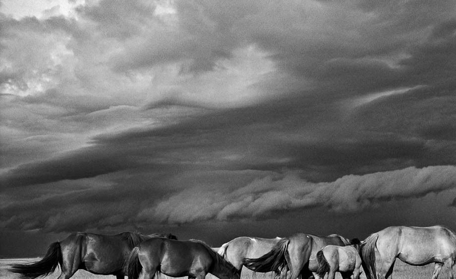 1hannahrose_the_last_nomad_24