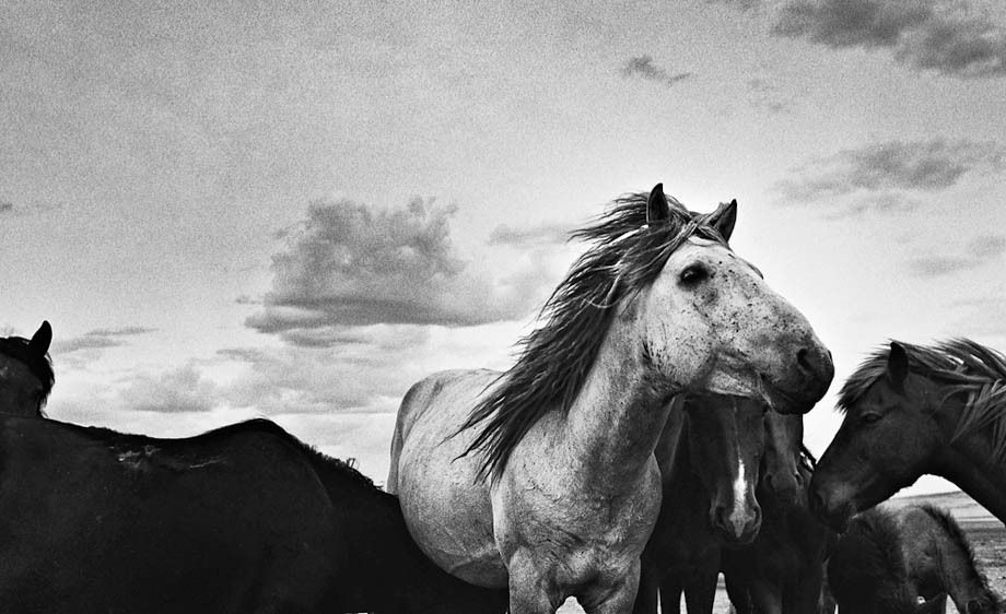 1hannahrose_the_last_nomad_26