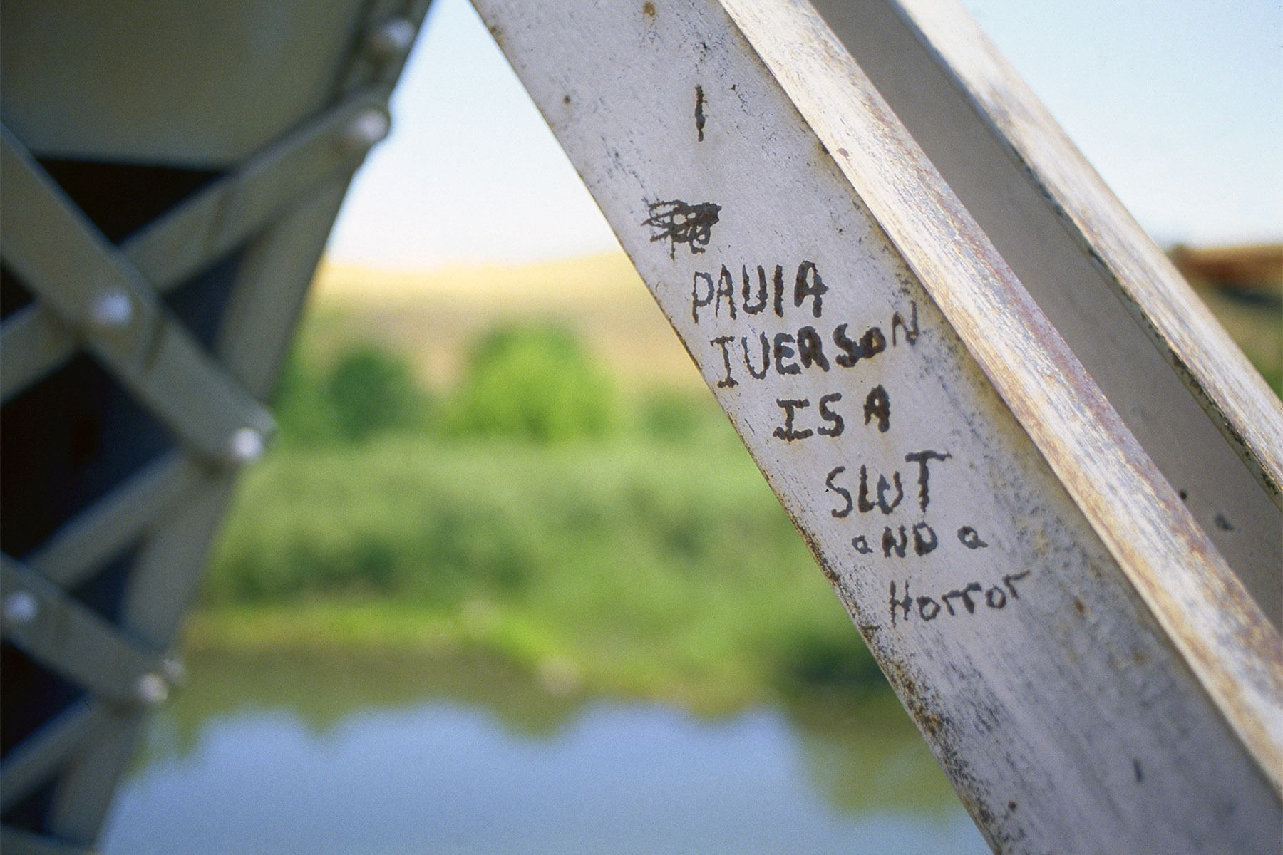 1paula_iverson_copy_2