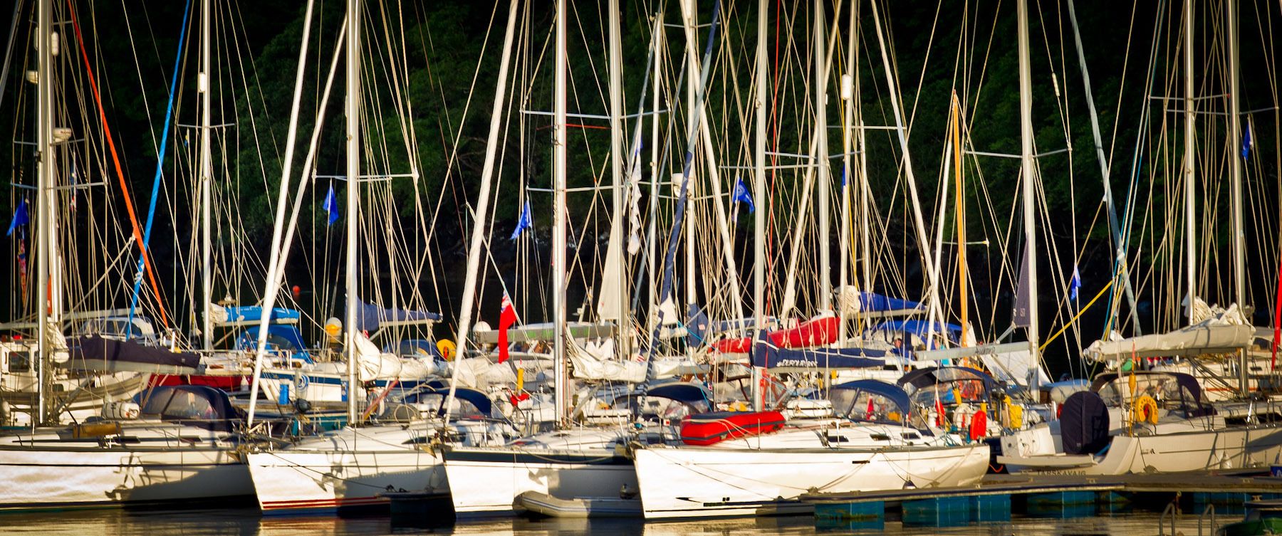 Masts in Tobermory Harbor