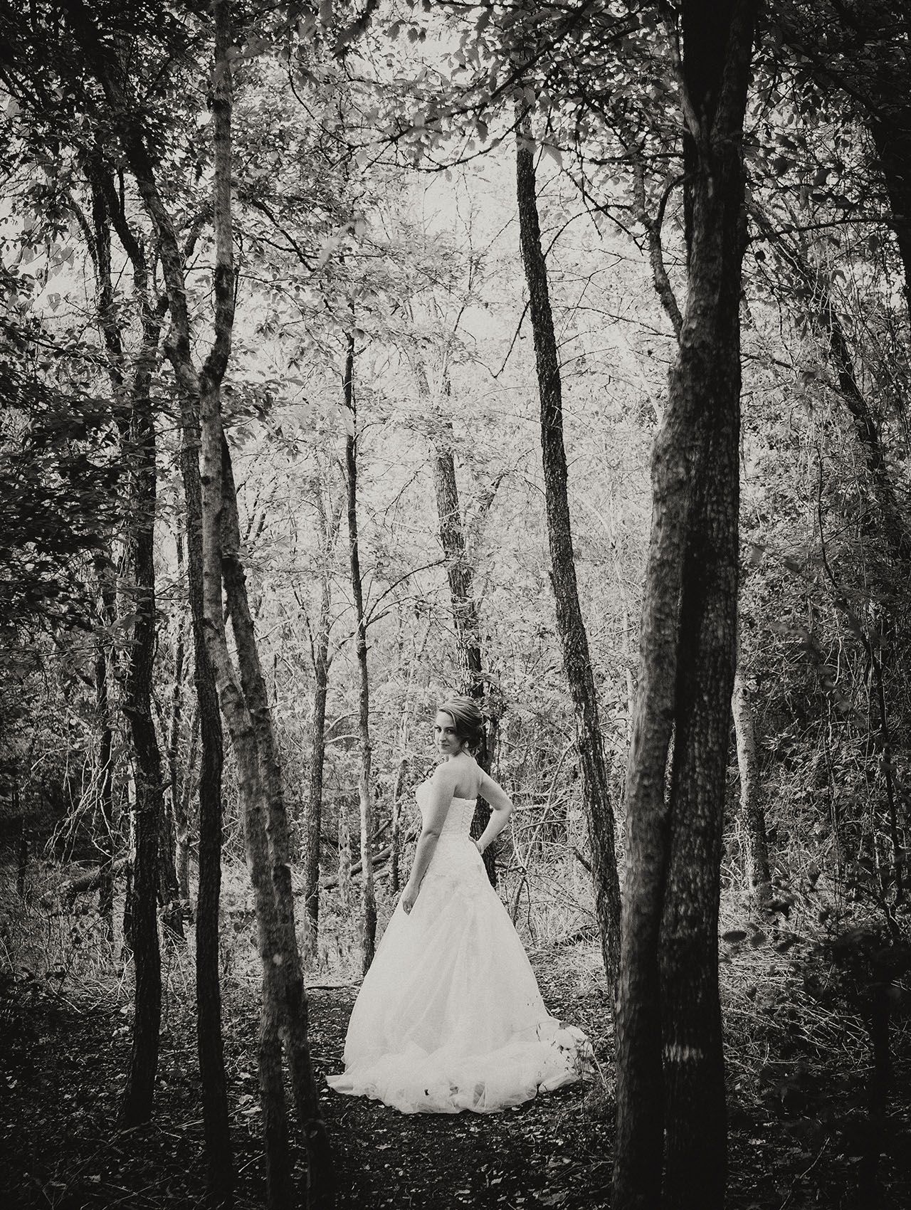 bridal_woods3.jpg