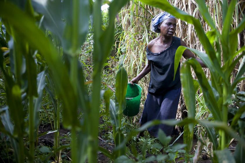 Elise and a friend  share a garden started with VSL funds. 50 percent of the world's food supply is produced by women, yet they own 1 percent of the farm land. Her Garden
